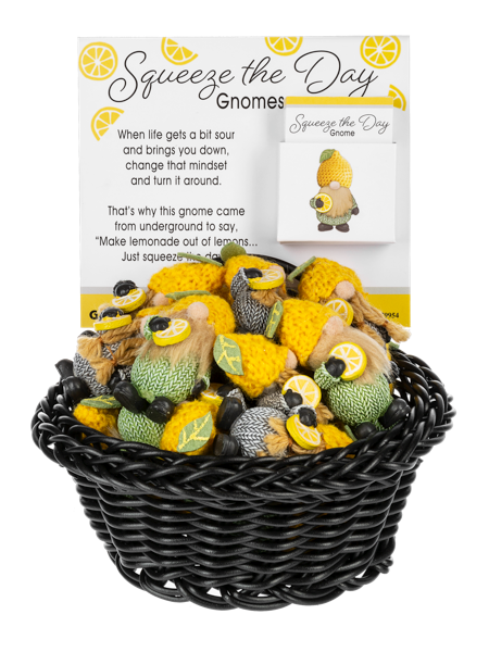 * Squeeze The Day Gnomes