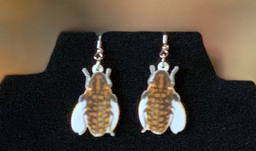 Spooky Earrings