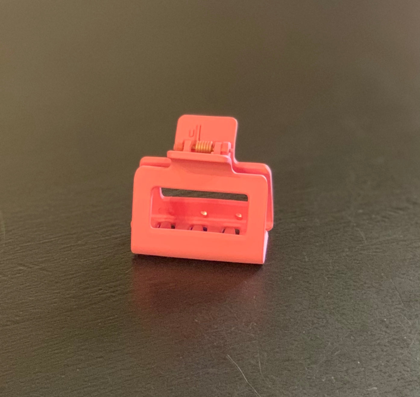 . Small Open Hair Clips
