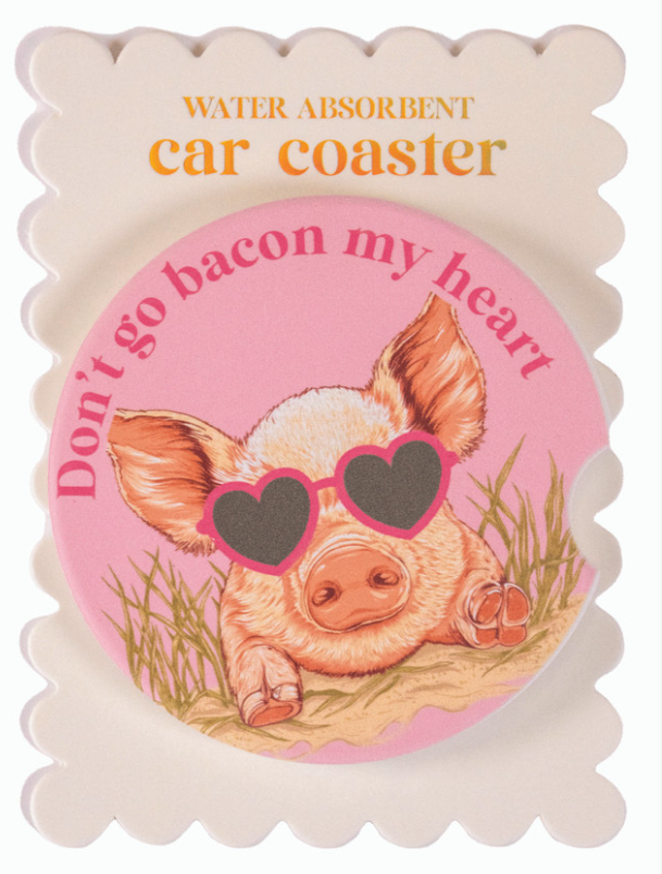 . Simply Southern Water Absorbant Car Coasters