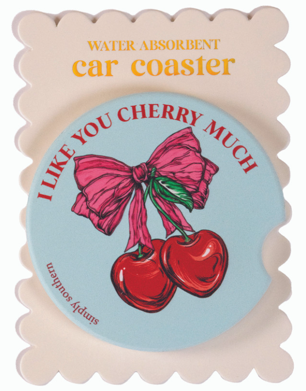 . Simply Southern Water Absorbant Car Coasters