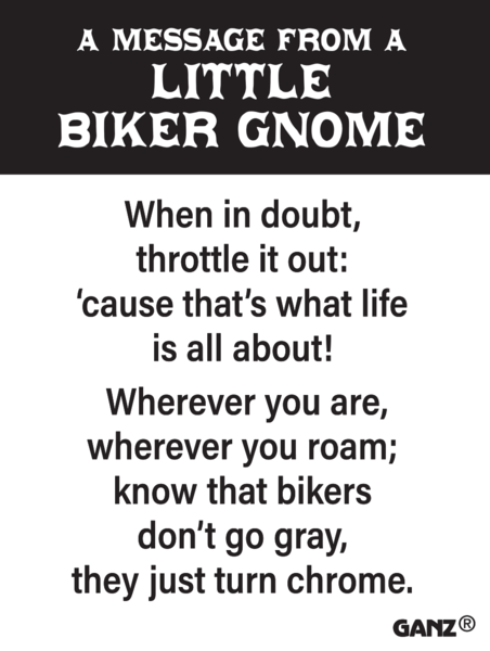 * Little Biker Gnome