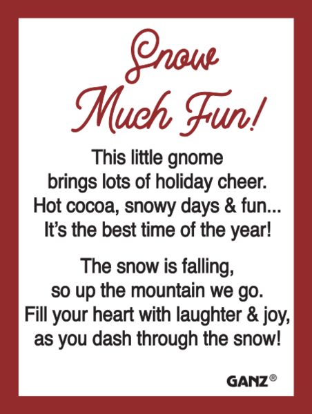 Snow Much Fun Gnome