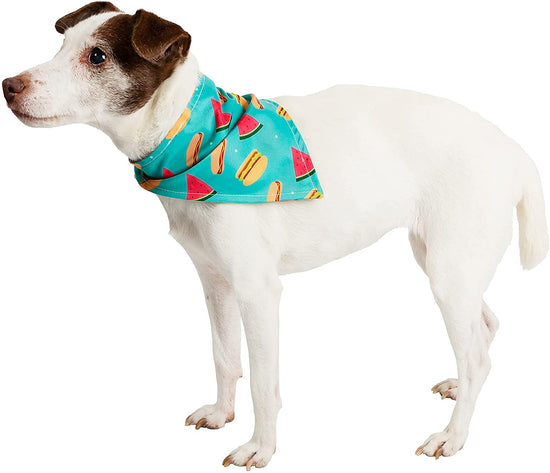 * C.R. Gibson Collar Slide Bandanas