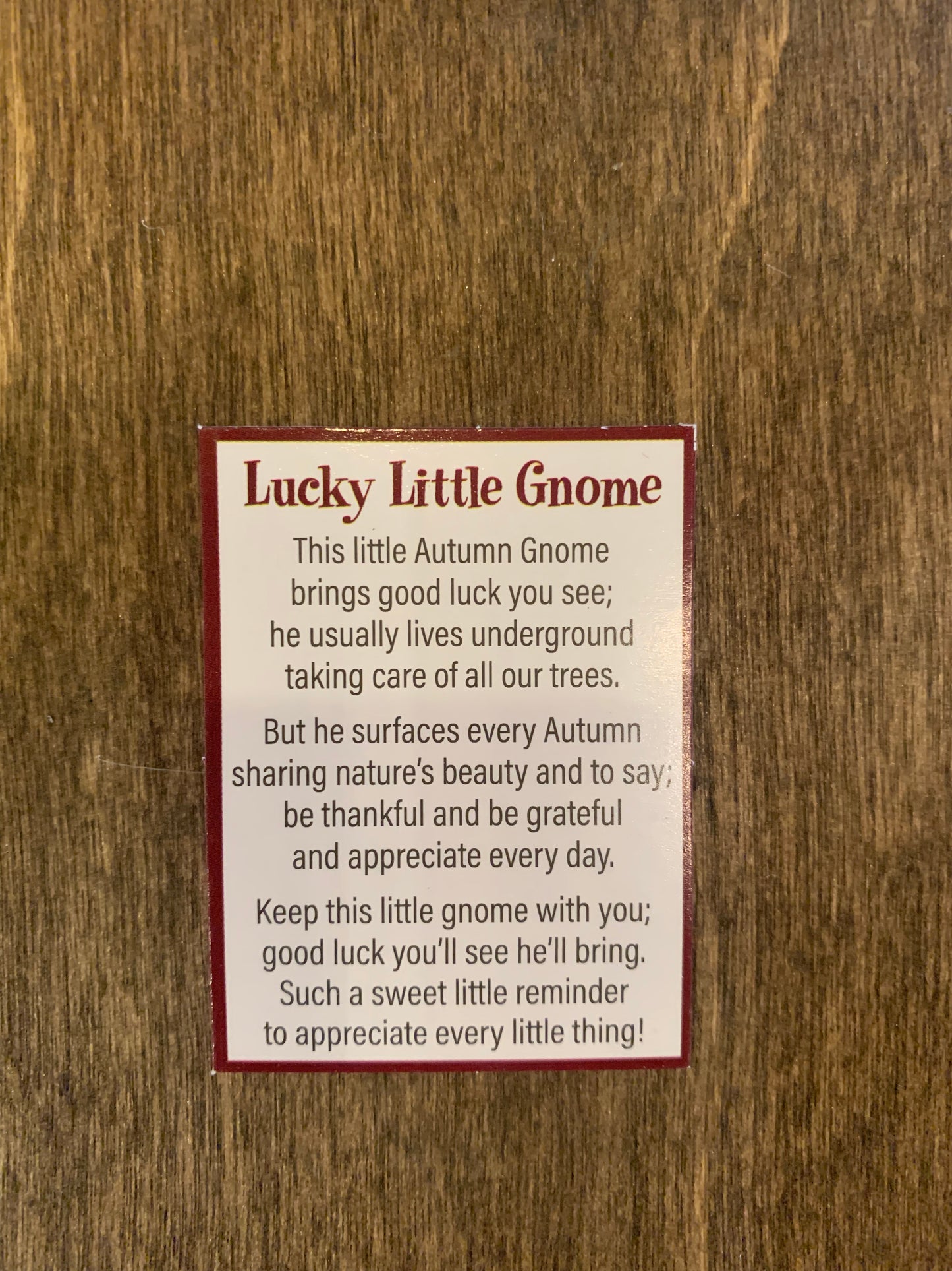 .Lucky Little Autumn Gnome